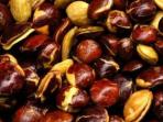 Terlalu Sering Mengonsumsi Jengkol? Awas, Ini Bahaya yang Bisa Terjadi