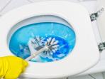 4 Cara Atasi WC Mampet Sendiri Tanpa Harus Panggil Tukang Sedot
