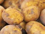 Berisiko, Jangan Konsumsi 5 Makanan Ini dalam Keadaan Mentah