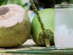 Dikenal Punya Beragam Manfaat, Ini 4 Efek Buruk Air Kelapa yang Jarang Diketahui