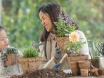 Diprediksi Masih Populer, Berikut 4 Tren Berkebun yang Akan Besar di Tahun 2021