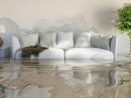Jangan Panik, Lakukan 10 Hal Ini Jika Rumah Terendam Banjir
