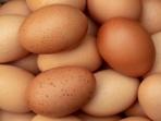 Jangan Pernah Membeli Telur dengan Ciri-Ciri Ini