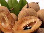 Jarang Diketahui, Ternyata Buah Sawo Menyimpan 3 Manfaat Ini Bagi Kesehatan