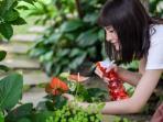 Ketahui Yuk, Ini Beberapa Manfaat Berkebun untuk Kesehatan Tubuh