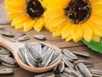 Sederet Manfaat yang Bisa Diperoleh dengan Makan Kuaci