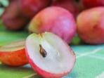 Tak Banyak yang Tahu, Ini Berbagai Manfaat Makan Biji Buah Anggur Bagi Kesehatan