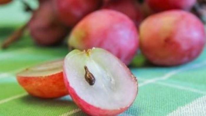 Tak Banyak yang Tahu, Ini Berbagai Manfaat Makan Biji Buah Anggur Bagi Kesehatan