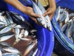 Turunkan Risiko Jantung dan Stroke dengan Makan Ikan yang Miliki Kandungan Omega 3 Tinggi