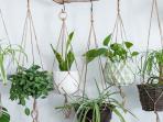 Cara Mudah Membuat Pot Gantung Macrame untuk Tanaman Hias