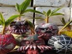 Menariknya Kerajinan Bonsai Kelapa yang Diolah Menjadi Bentuk Boneka Karakter