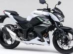 Uang Muka Hanya 9 Jutaan, Cek Skema Kredit Kawasaki Z250 OTR DKI Jakarta dan Sekitarnya