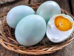 Beberapa Orang dengan Kondisi Seperti Ini Dilarang Mengonsumsi Telur Bebek secara Berlebihan