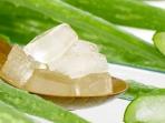 Ini 5 Manfaat Menakjubkan Gel Lidah Buaya Bagi Tubuh, Salah Satunya Sebagai Masker Wajah