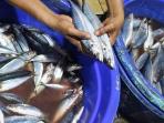 Punya Efek Buruk untuk Kesehatan Otak, Berikut Daftar Ikan yang Punya Kandungan Merkuri Tinggi