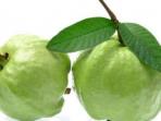 Tak Banyak yang Tahu, Ini Berbagai Manfaat Daun Buah Jambu Biji untuk Kesehatan