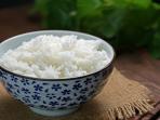 6 Efek Diet Tanpa Karbohidrat Bagi Tubuh, Ingatan Bisa Memburuk