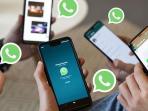 Begini Tips Mudah Mengembalikan Whatsapp yang Dibajak