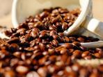 Cara Simpan Kopi yang Benar Agar Tak Cepat Basi dan Tetap Nikmat Ketika Diseduh