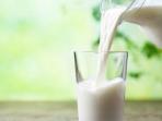Ini Beberapa Makanan yang Bisa Menambah Tinggi Badan, Salah Satunya Susu
