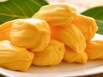 Ini Segudang Manfaat Buah Nangka untuk Kesehatan Tubuh, Salah Satunya Menghilangkan Keriput