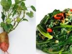 Jarang Diketahui, Ini Berbagai Manfaat Kesehatan Konsumsi Daun Ubi Jalar 