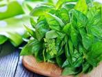 Selain Enak untuk Lalapan, Ternyata Kemangi Punya 4 Manfaat Buat Kecantikan