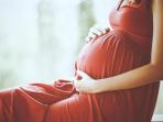 Wajib Tahu Moms, Ini Berbagai Pantangan Makanan yang Dilarang untuk Ibu Hamil