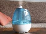Jarang Diketahui, Ini Manfaat Air Purifier Bagi Kesehatan Tubuh 