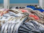 Jenis Ikan yang Tak Boleh Dimakan Anak-anak, Ahli Ungkap Bahayanya