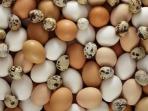 Mana yang Lebih Sehat, Telur Ayam atau Telur Puyuh? Ini Ulasannya