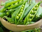 Simak Berbagai Manfaat Kacang Polong untuk Kesehatan Tubuh