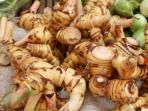Yuk Ketahui Manfaat Kencur Sebagai Obat Herbal, Bisa Redakan Batuk