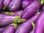 6 Manfaat Terong Bagi Kesehatan Apabila Dikonsumsi Secara Rutin