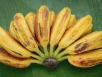Hobi Makan Pisang Kepok? Ini Manfaat yang Bisa Didapat Jika Rutin Mengonsumsinya