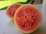 Jambu Biji dan 3 Bahan Alami Ini Cocok jadi Cara Menurunkan Gula Darah