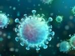 Kenali Gejala dan Bahaya 3 Varian Baru Virus Corona di Indonesia