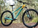 Sepeda Gunung Paling Diminati, Cek Daftar Harga Polygon Xtrada Terbaru Per Mei 2021