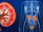 Waspadai 12 Gejala Kanker Ginjal yang Jarang Disadari