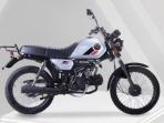 Motor Baru Bergaya Retro Scrambler Rilis dengan Harga Lebih Murah dari Kawasaki W175