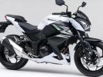 Uang Muka Mulai 9 Jutaan, Cek Skema Kredit Kawasaki Z250 OTR DKI Jakarta dan Sekitarnya