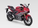 Bisa Jadi Pilihan Menarik, Cek Harga Yamaha R25 Bekas di Depok
