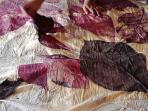 Uniknya Kain Sasirangan Ecoprint yang Bermotif Daun Singkong dan Rumput