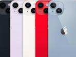 iPhone 14 Resmi Hadir di Indonesia 4 November, Cek Daftar Harga Lengkapnya