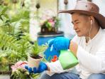Manfaat Memberikan Pupuk Daun untuk Tanaman dan Cara Mudah Menggunakannya