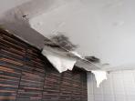Jangan Anggap Remeh, Ini 5 Bahaya Mengabaikan Atap Rumah Bocor