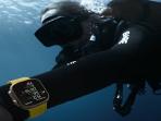 Rilis di Indonesia, Cek Harga Apple Watch Ultra, Watch Series 8 dan Watch SE