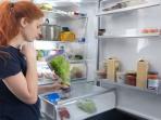 Serba-serbi Seputar Kulkas yang Sering Dipercaya Ini Ternyata Salah