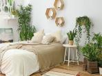 Simak 5 Tanaman yang Memberi Ketenangan dan Memurnikan Udara di Kamar Tidur