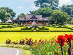 Cek Harga Tiket Masuk dan Fasilitas Kebun Raya Bogor